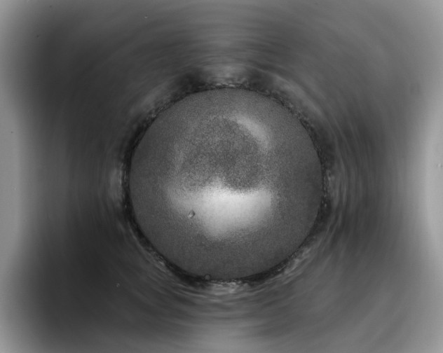 X0000094940757200711291353