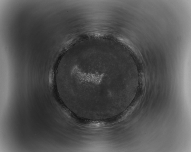 X0000094940760200711291353