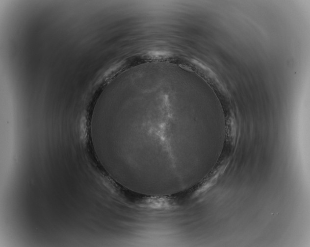 X0000094940762200711291353