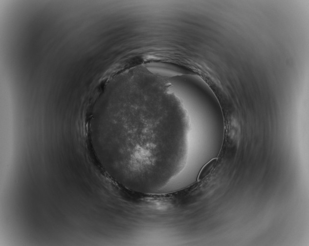 X0000094940763200711291353