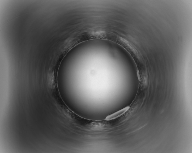 X0000094940764200711291353