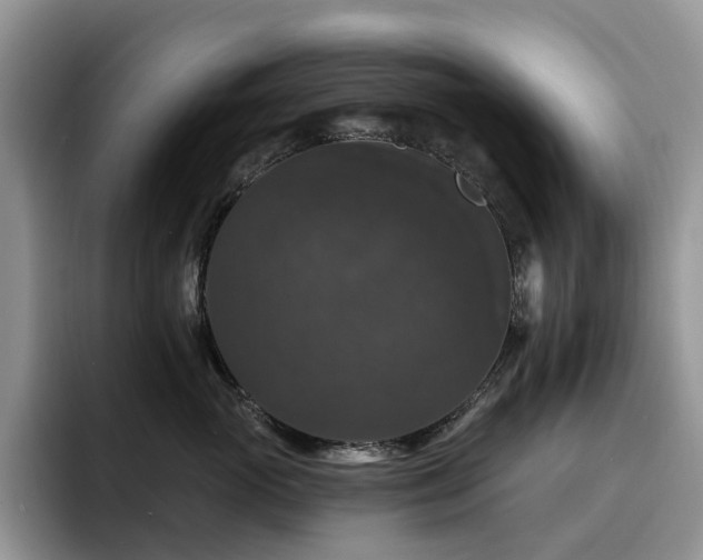 X0000094940765200711291353