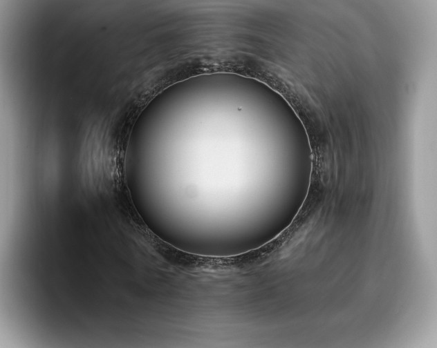 X0000094940770200711291352