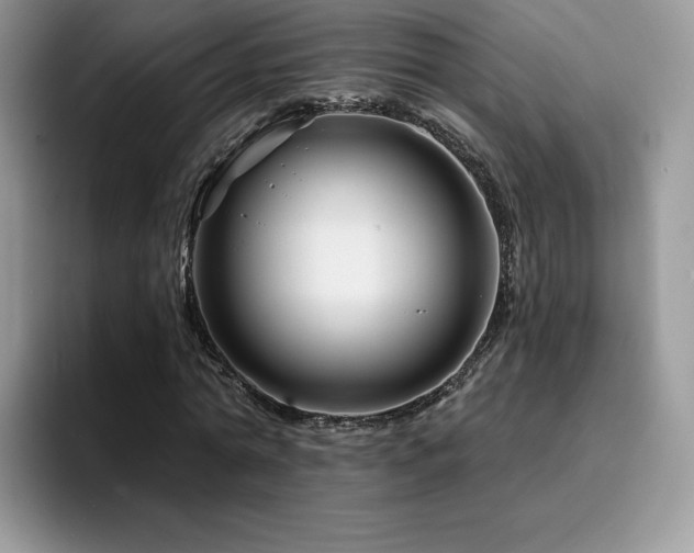X0000094940774200711291352