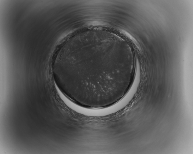 X0000094940775200711291352
