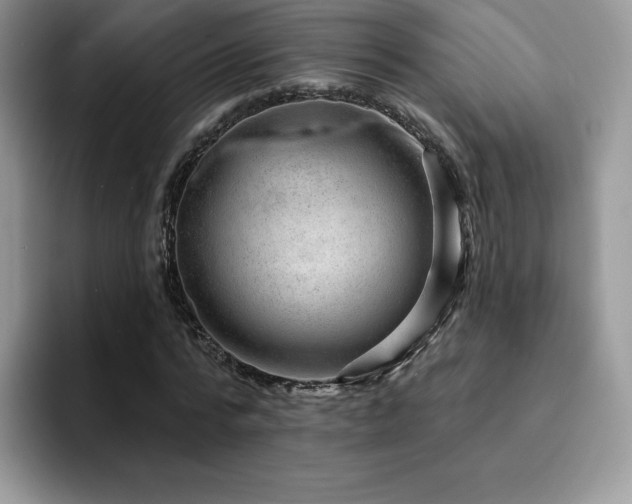 X0000094940776200711291352