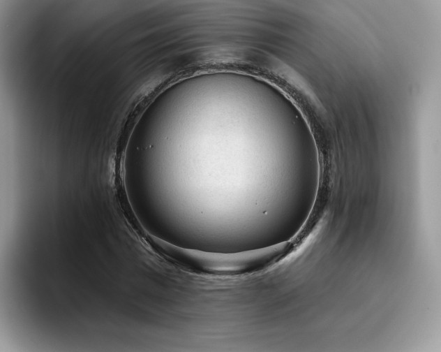 X0000094940777200711291352