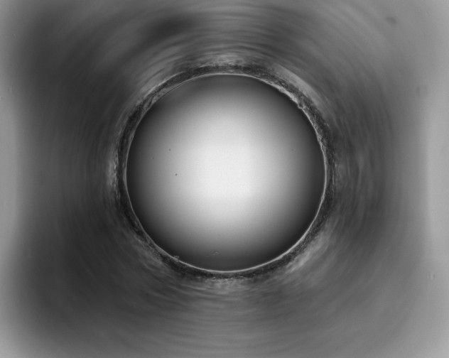 X0000094940778200711291352