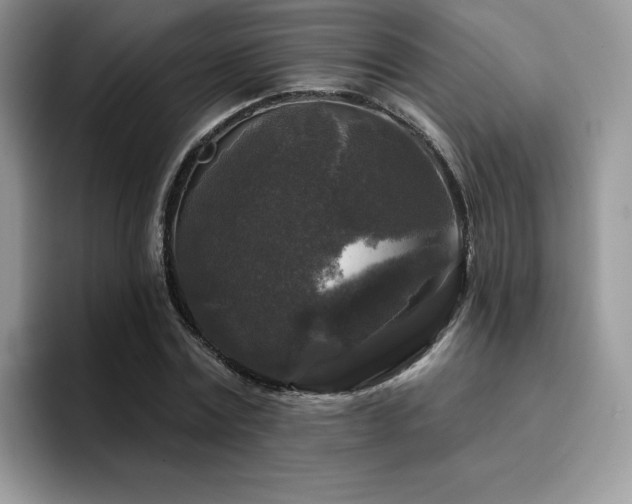 X0000094940779200711291352