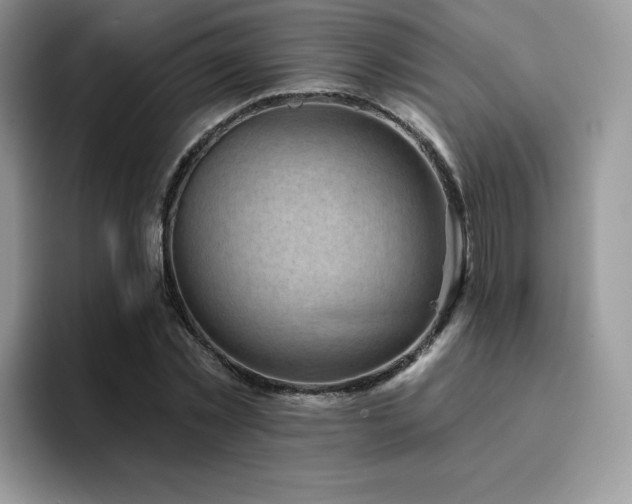 X0000094940781200711291352