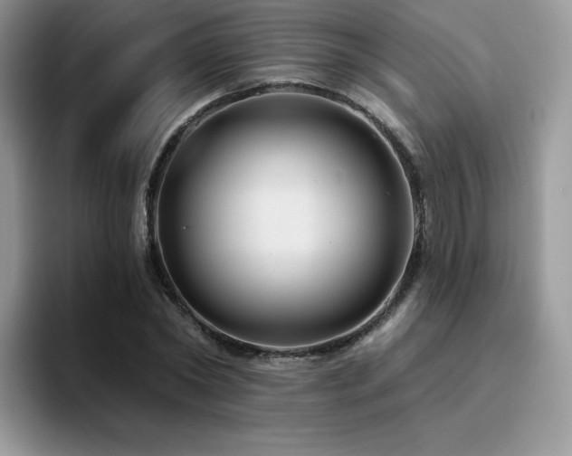 X0000094940782200711291352