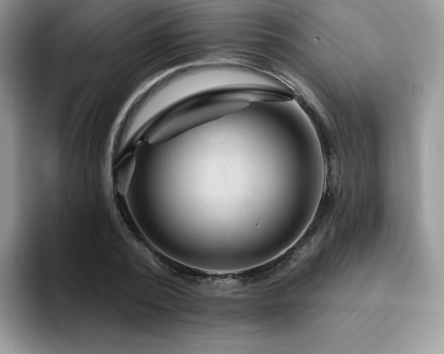 X0000094940784200711291352