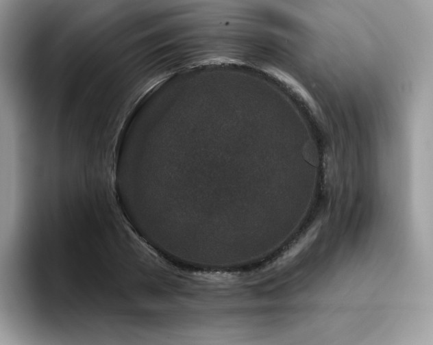 X0000094940785200711291352