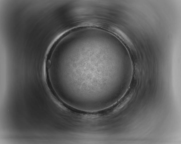 X0000094940788200711291352