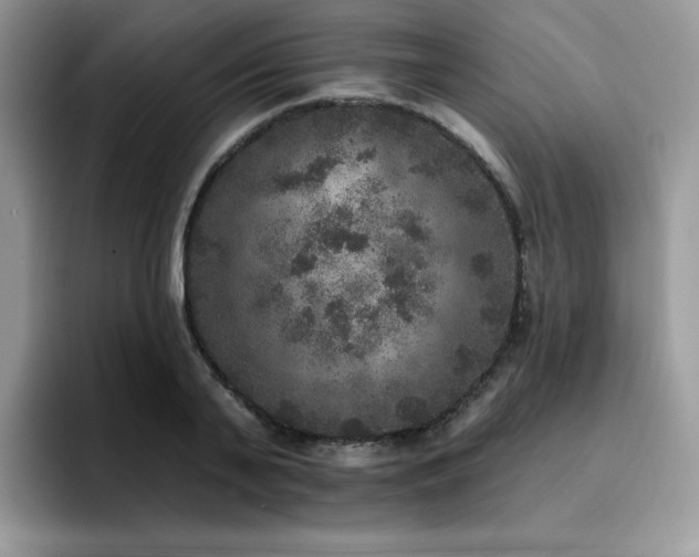 X0000094940791200711291352