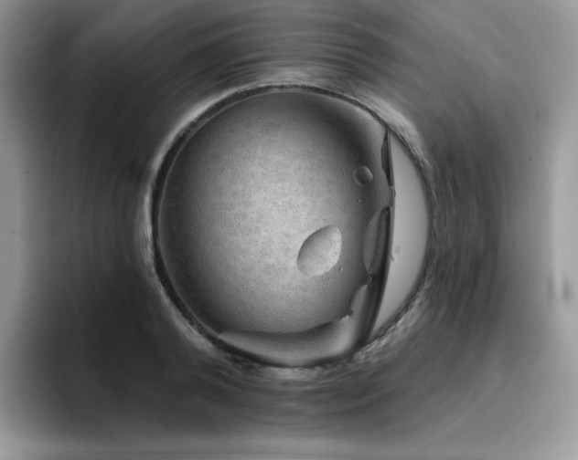 X0000094940792200711291352