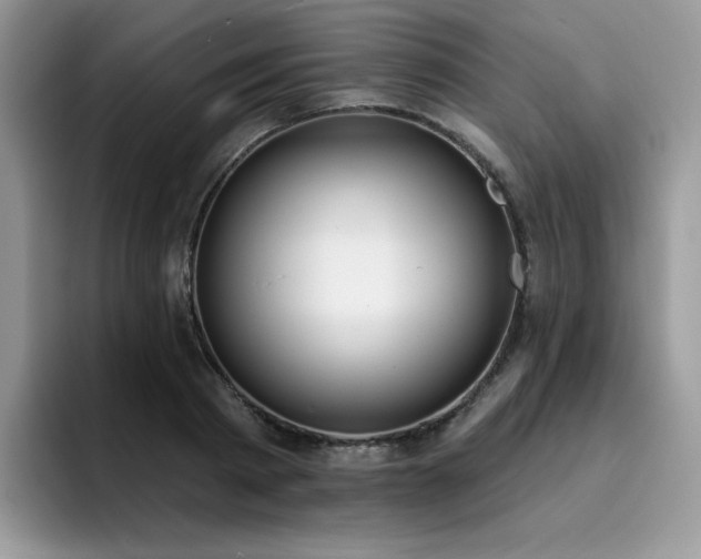 X0000094940793200711291352