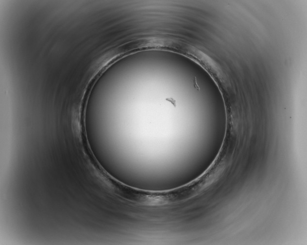 X0000094940794200711291352