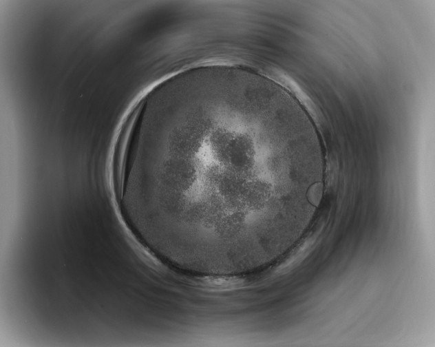 X0000094940795200711291352
