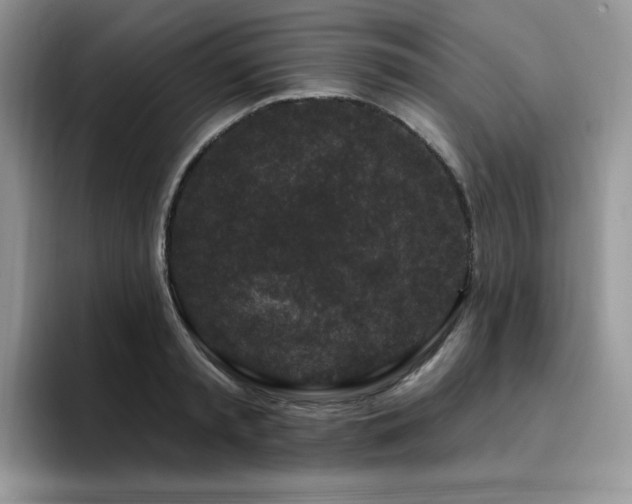 X0000094940797200711291352