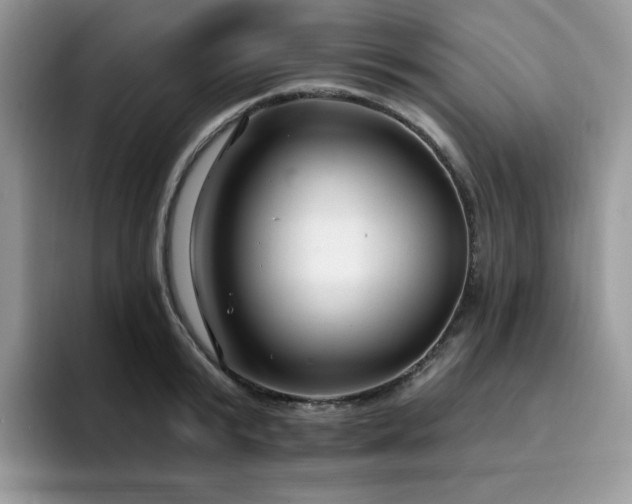 X0000094940799200711291352