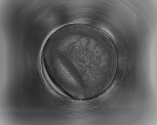 X0000094940800200711291352