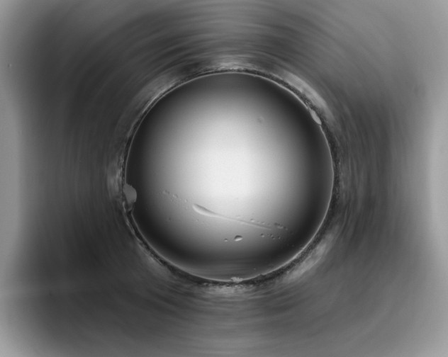 X0000094940801200711291352