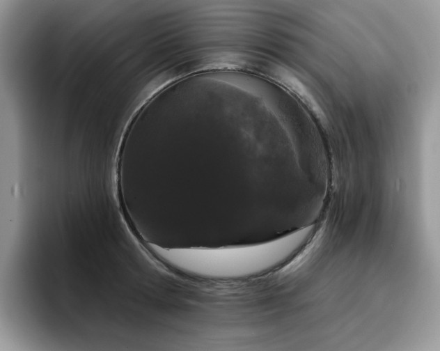 X0000094940802200711291352