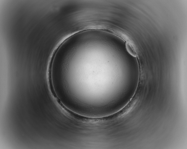 X0000094940803200711291352