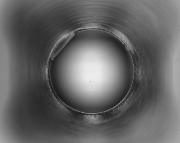 X0000094940805200711291352