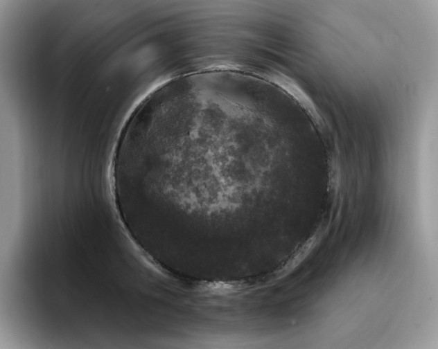 X0000094940806200711291352