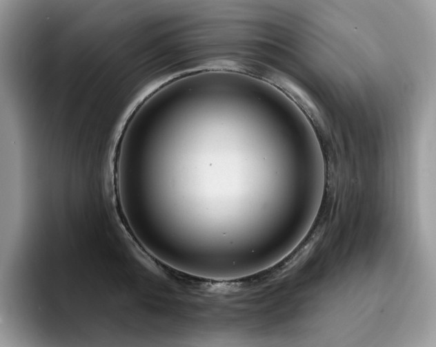 X0000094940808200711291352