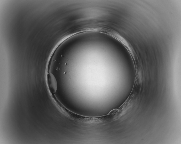 X0000094940811200711291352