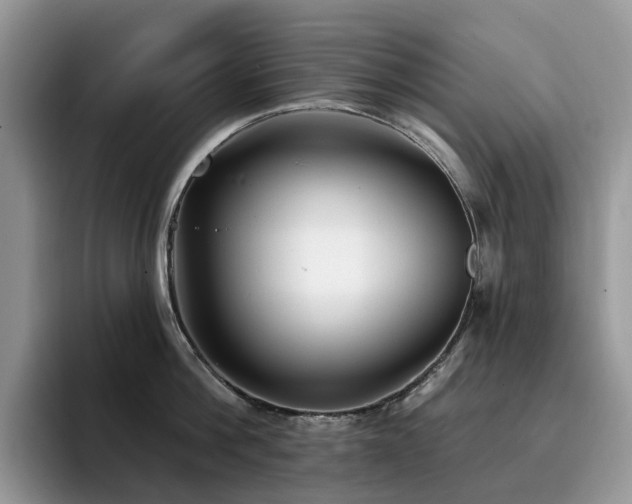 X0000094940812200711291352