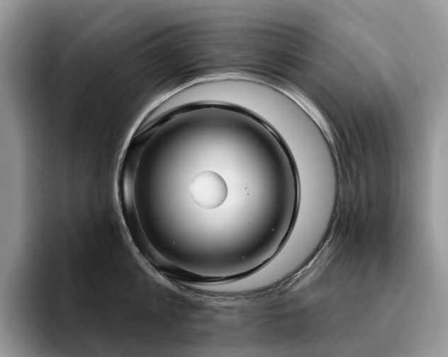 X0000094940813200711291352