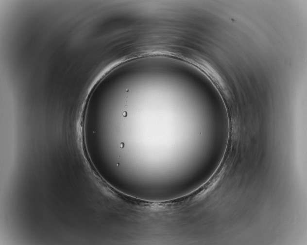 X0000094940814200711291352