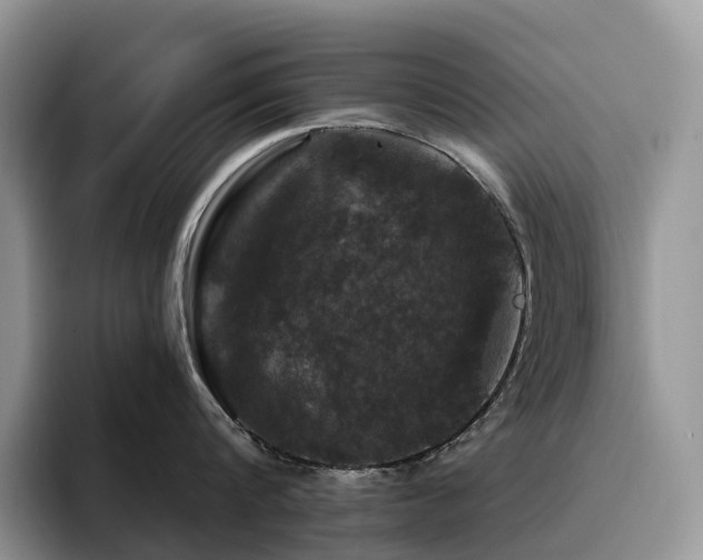 X0000094940816200711291352