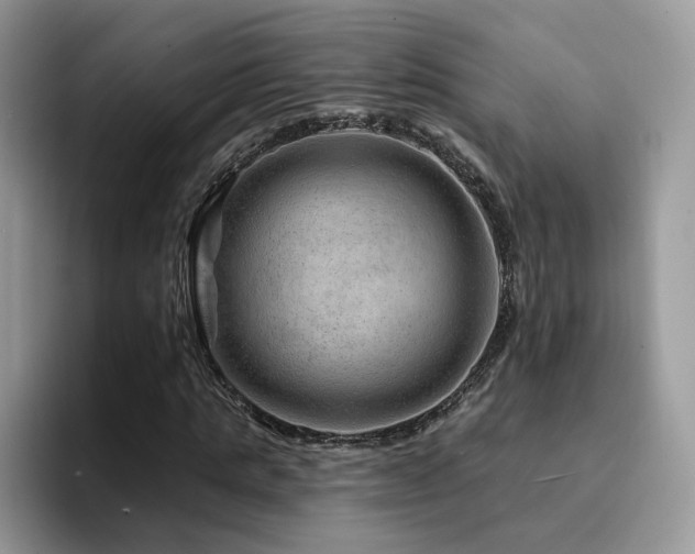 X0000094940821200711291351
