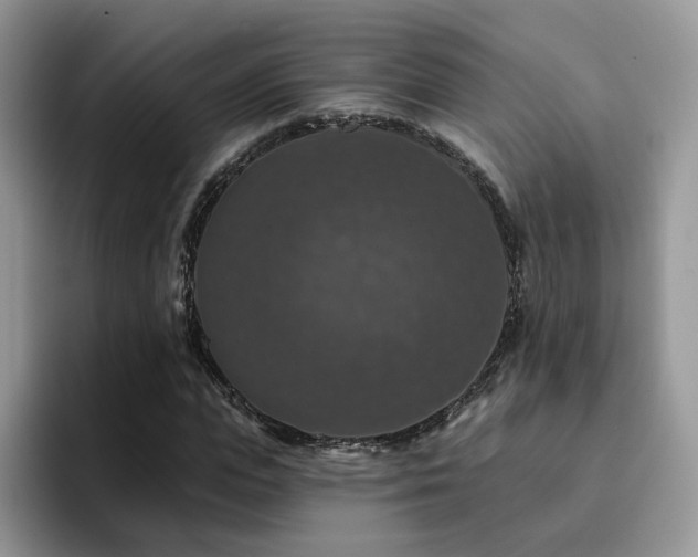 X0000094940823200711291351
