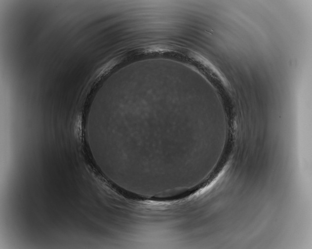 X0000094940825200711291351