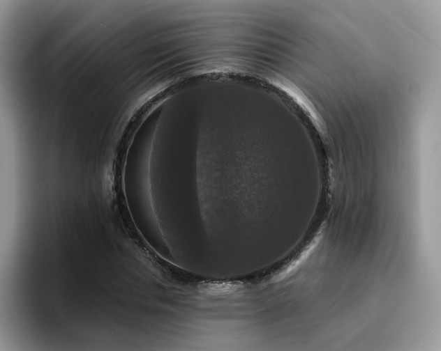 X0000094940826200711291351