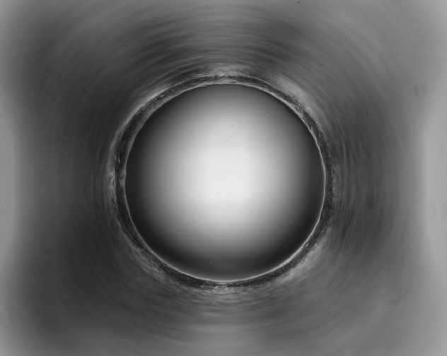 X0000094940827200711291351