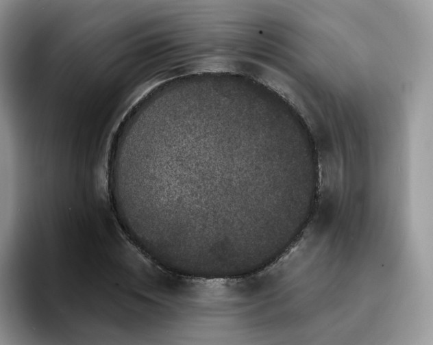 X0000094940828200711291351