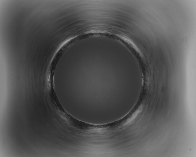 X0000094940830200711291351