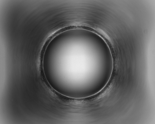 X0000094940831200711291351