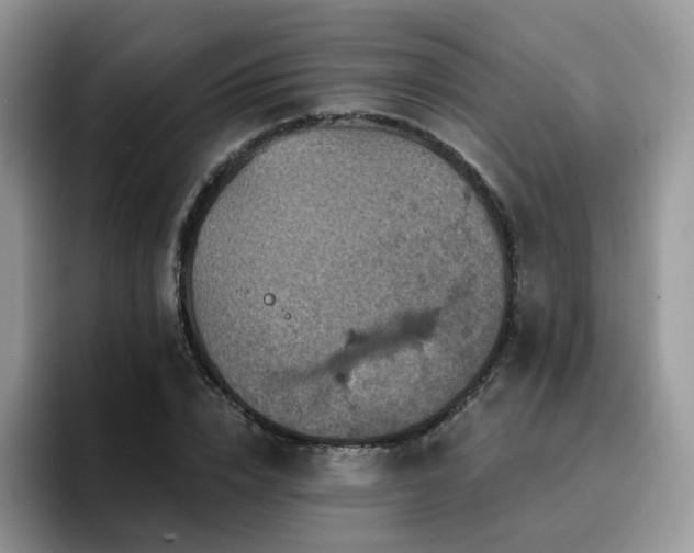 X0000094940832200711291351