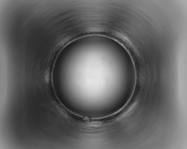 X0000094940833200711291351