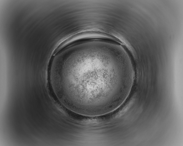 X0000094940834200711291351