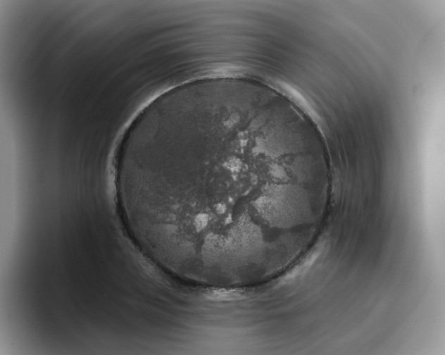 X0000094940835200711291351