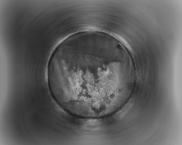 X0000094940839200711291351